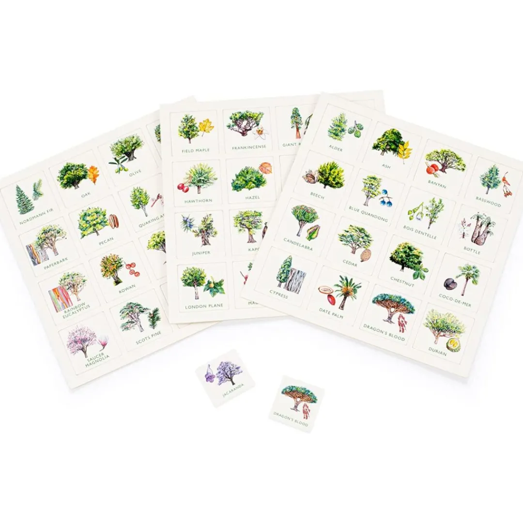LK Publishing Stem Toys|Stem Toys < Tree Bingo Game