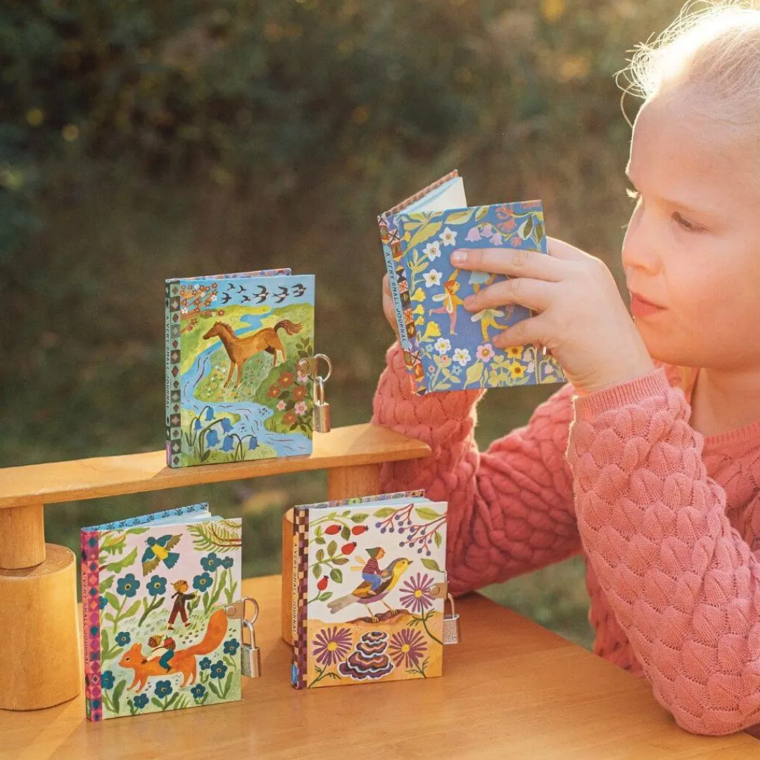 eeBoo Books|Fairies & Gnomes < Very Small Fairy Journal