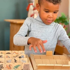 Egmont Wooden Toys|Games < Who Am I? Wooden Guessing Game