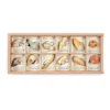 Grapat Summer Nature Table|Wooden Toys < Wild: Exploration Play Set and Sorting Tray