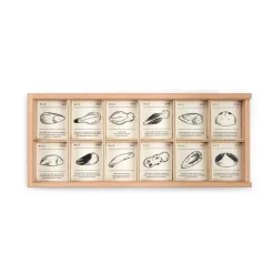 Grapat Summer Nature Table|Wooden Toys < Wild: Exploration Play Set and Sorting Tray