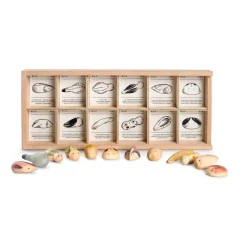 Grapat Summer Nature Table|Wooden Toys < Wild: Exploration Play Set and Sorting Tray