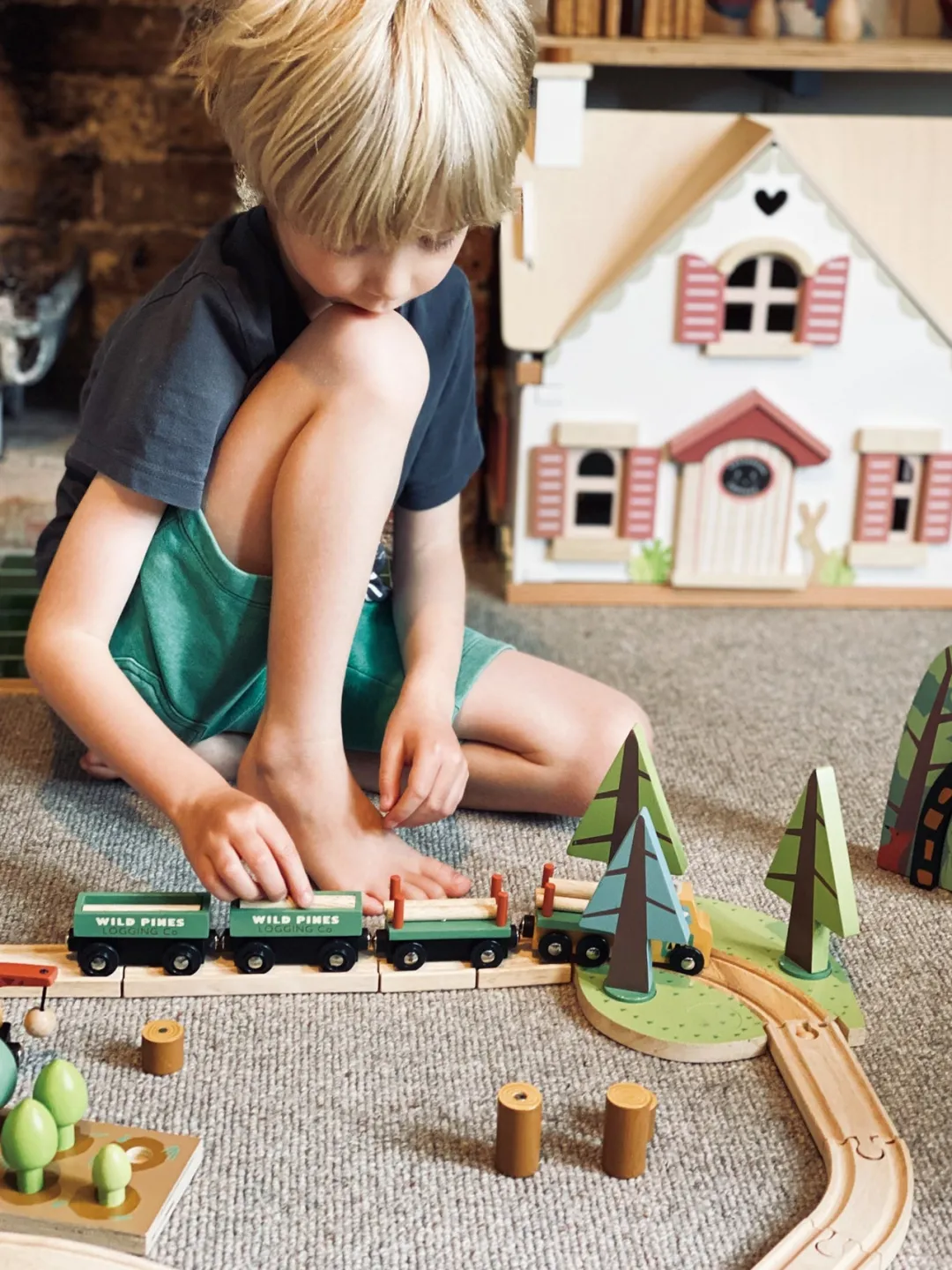 Tender Leaf Toys 4 Years|3 Years < Wild Pines Wooden Train Set