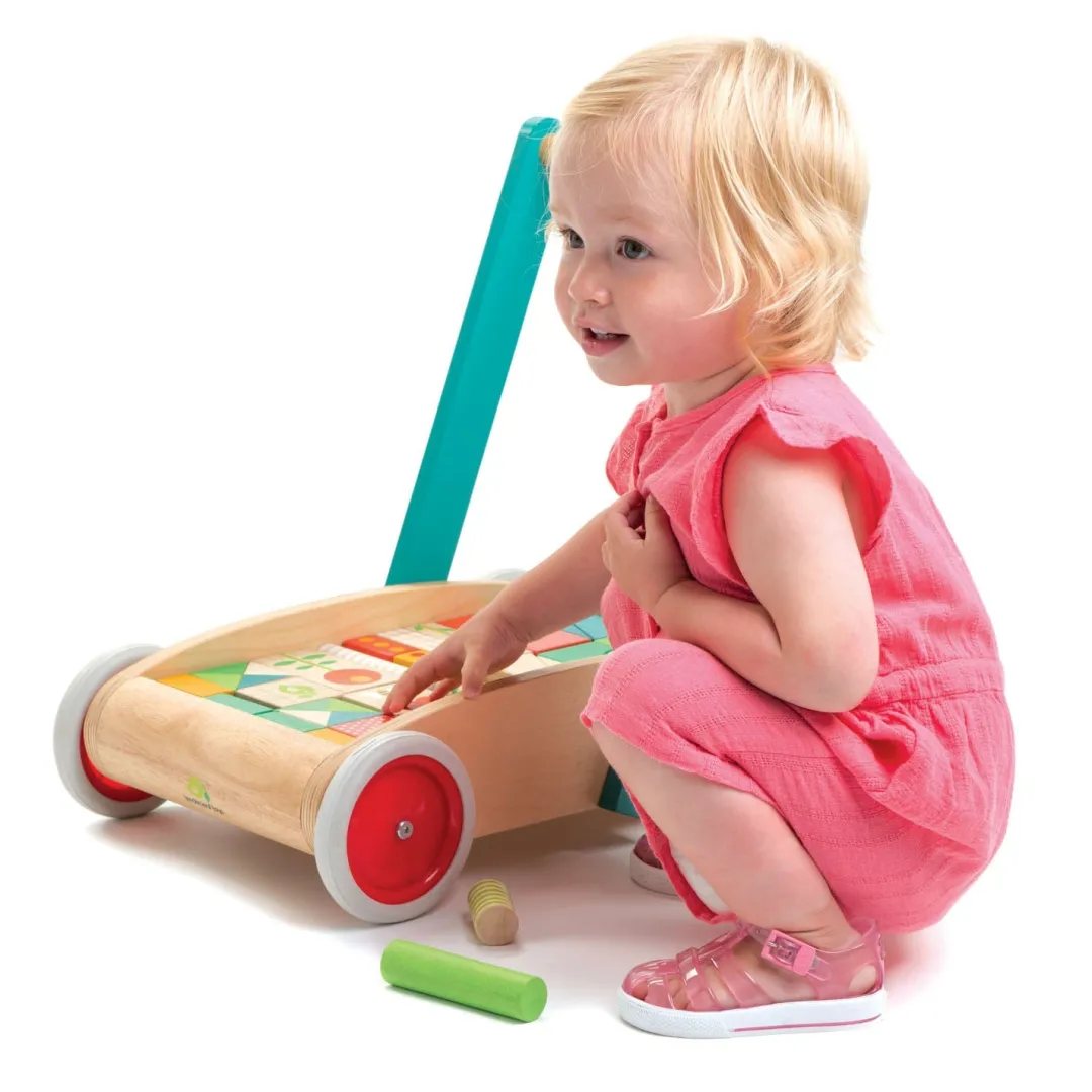 Tender Leaf 12-24 Months|Baby Walkers & Pull Toys < Wooden Baby Walker and Garden Blocks Set