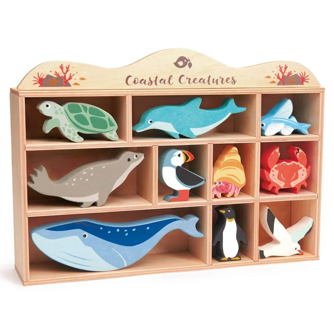 Tender Leaf Wooden Toys|4 Years < Wooden Coastal Animal Figures and Display Case