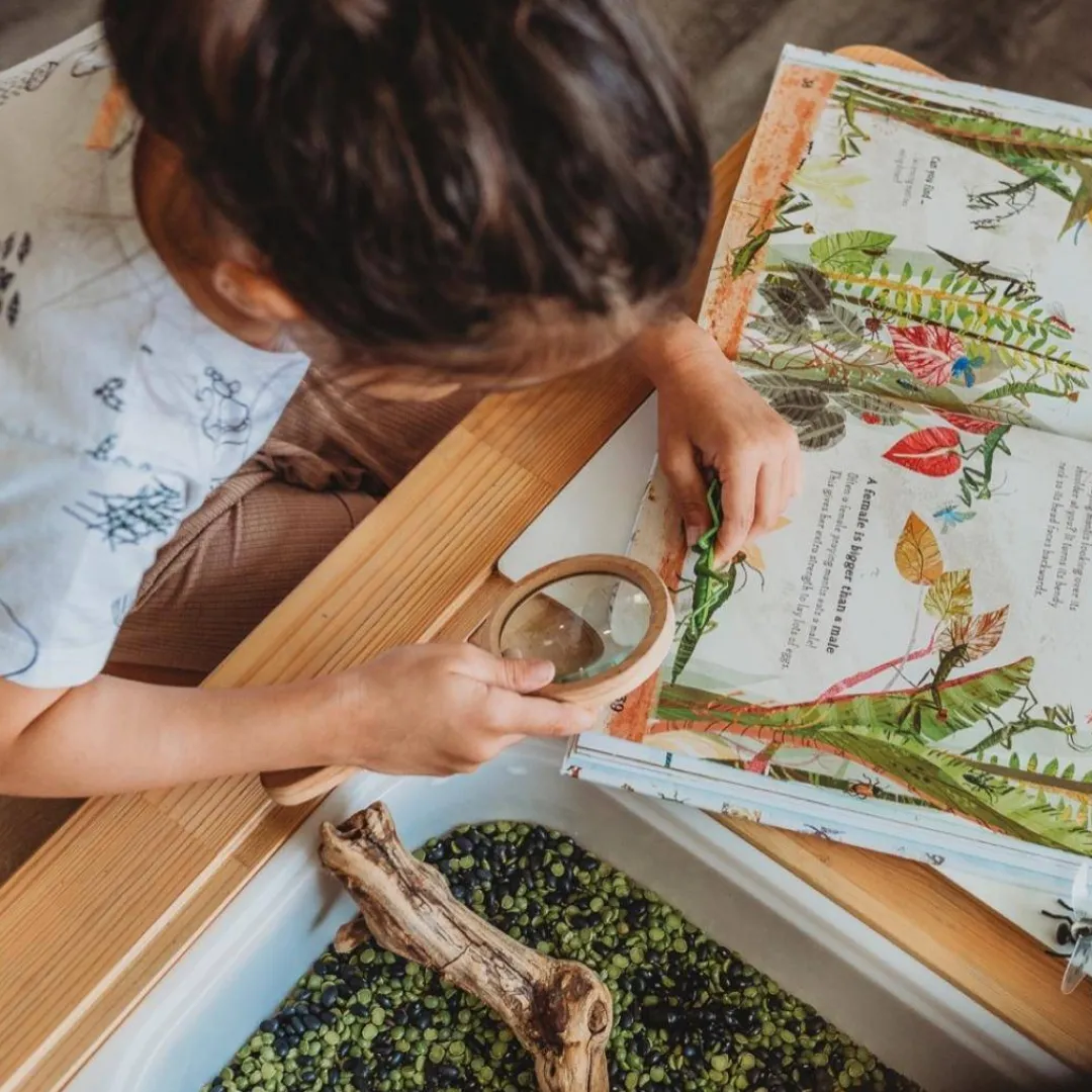 Kikkerland Design Outdoor Toys|Wooden Toys < Wooden Magnifying Glass