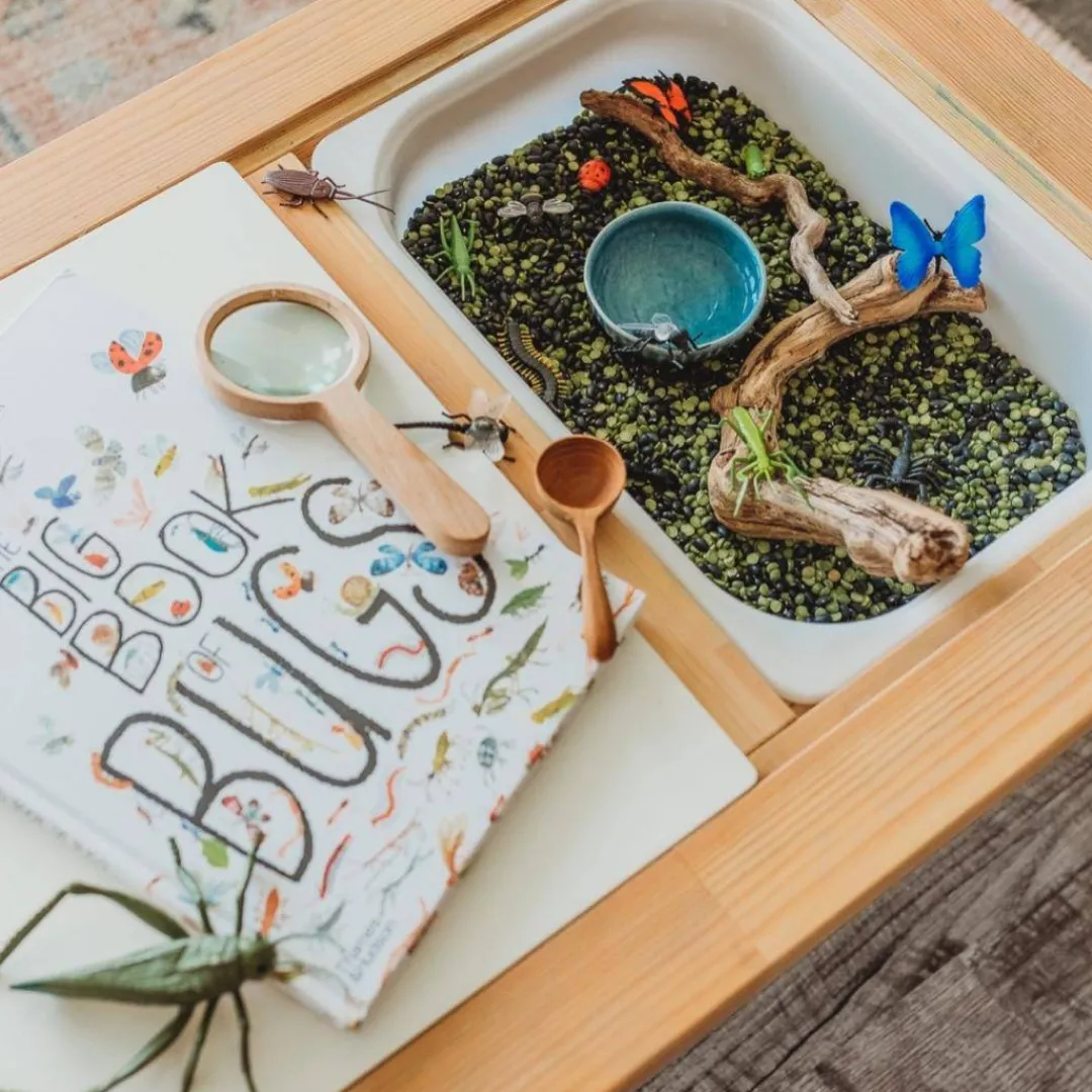 Kikkerland Design Outdoor Toys|Wooden Toys < Wooden Magnifying Glass