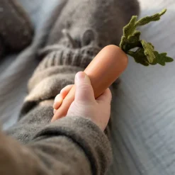 Sabo Wooden Toys|4 Years < Wooden Root Vegetable Set