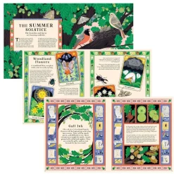 Magic Cat Publishing Books|4 Years < Woodlore